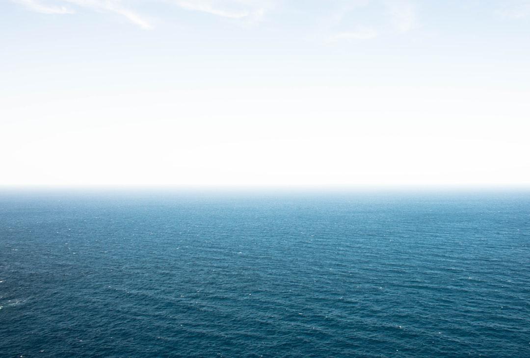 Wide expanse of ocean under a clear sky, suggesting the calming effect of powder blue, relevant to isopod care environment.