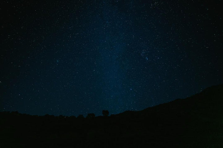 Clear night sky filled with stars above a dark landscape, nature at All Angles Creatures.