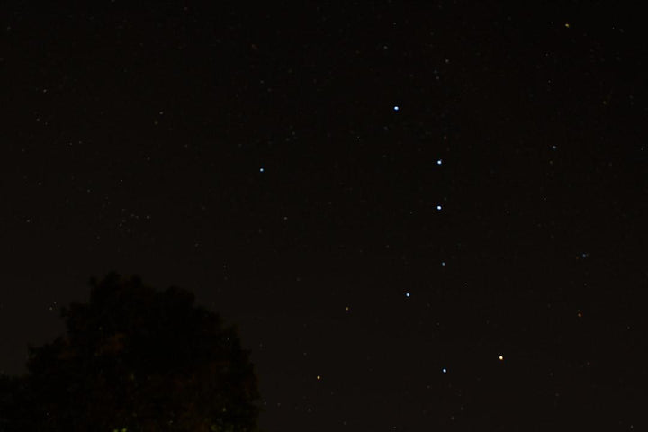 Starry night sky with visible constellation over silhouetted tree, All Angles Creatures