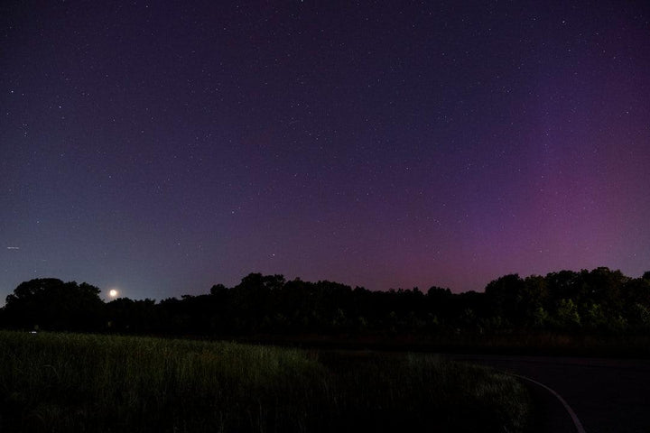 Starry night sky over grassy field and trees, nature landscape, All Angles Creatures theme