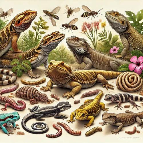 Illustration of bearded dragons, geckos, and amphibians with feeder insects in a natural habitat.