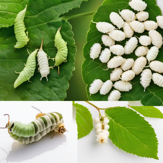 Green hornworms and white silkworms on leaves; comparing suitability as pet food in "Silkworms vs Hornworms" article.