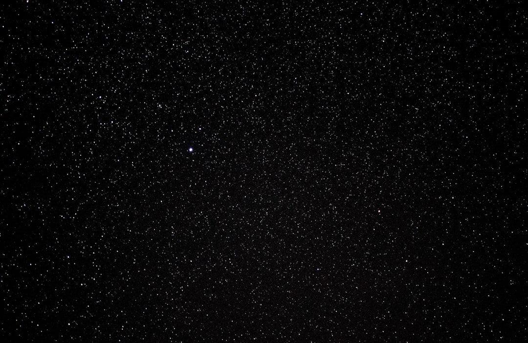 A starry night sky with countless visible stars, illustrating the vast benefits of dried black soldier fly in pet nutrition akin to expansive possibilities.