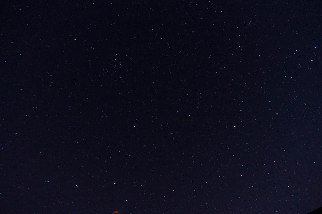 A starry night sky, illustrating a serene environment possibly related to the habitat or ecosystem for black soldier flies.