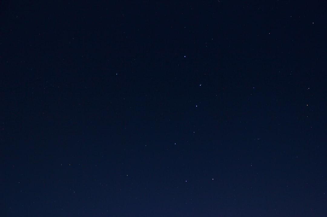 A starry night sky, symbolizing the natural benefits of dried black soldier fly larvae for pets.