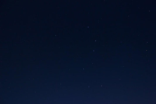 A starry night sky, symbolizing the natural benefits of dried black soldier fly larvae for pets.