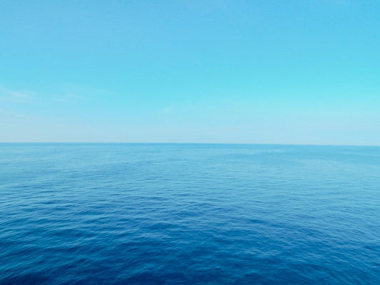 Vast blue ocean under a clear sky, illustrating the natural habitat colors linked to Northern Blue Tongue Skink environments.