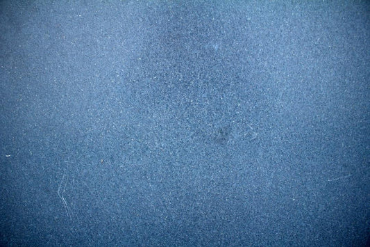 Blue Powder Isopods Care Guide: Tips for a Thriving Colony - All Angles Creatures