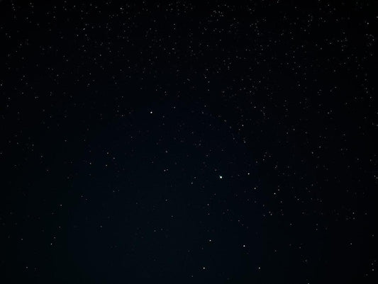 A dark sky filled with scattered stars, resembling the pattern on a dried black soldier fly, associated with pet benefits in the article.