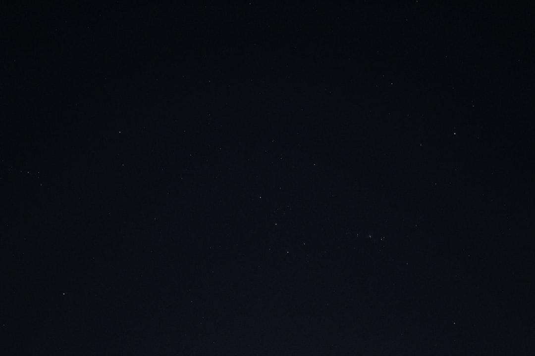 A dark, starry sky representing a backdrop, highlighting the benefits of dried black soldier fly in sustainable practices and nutrition.