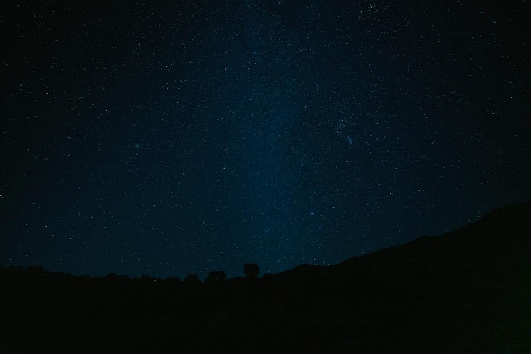 Clear night sky filled with stars above a dark landscape, nature at All Angles Creatures.