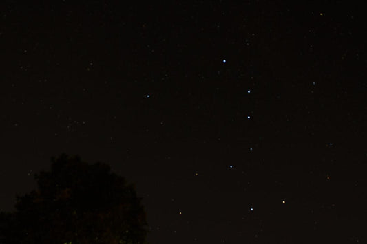 A starry night sky with a silhouette of a tree. Not directly related to dried black soldier fly benefits for pets.