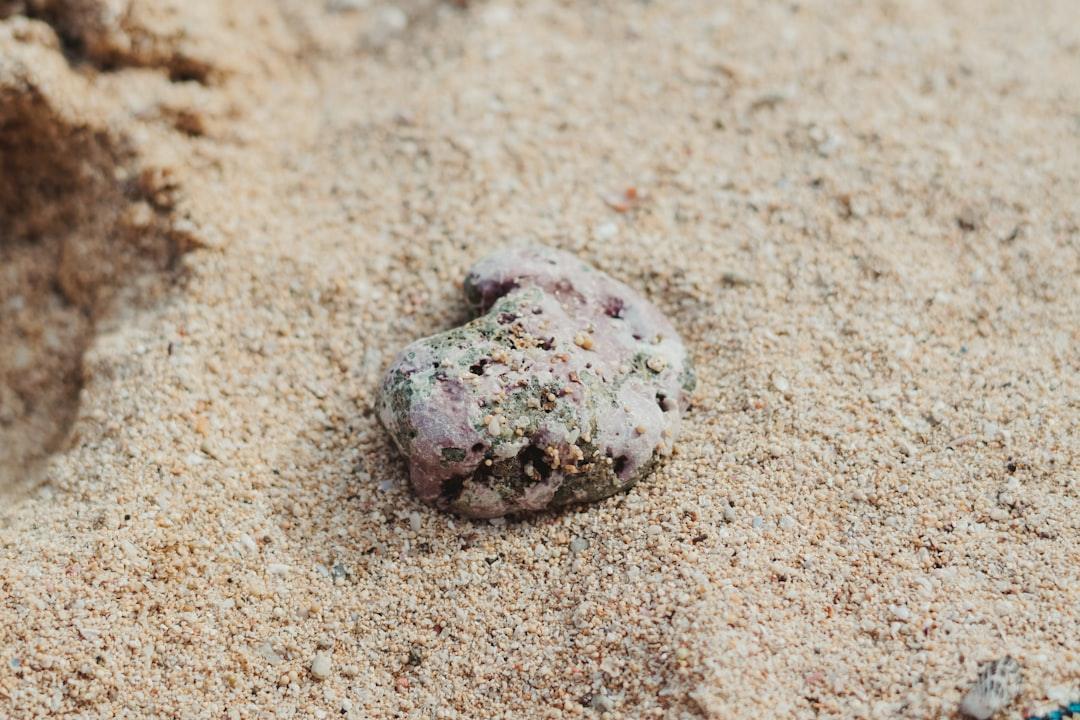 Closeup of a textured purple and green rock on sandy beach, nature detail from All Angles Creatures.