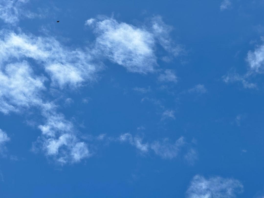 Blue sky with wispy clouds and a single flying insect, feeder insect breeding focus