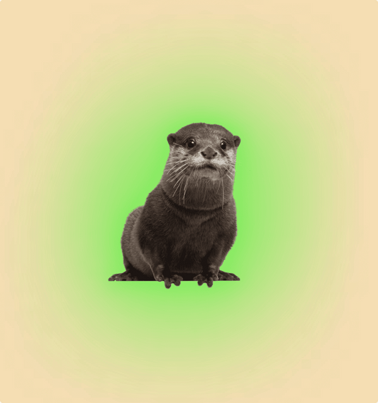 Asian Otter Mammal - All Angles Creatures