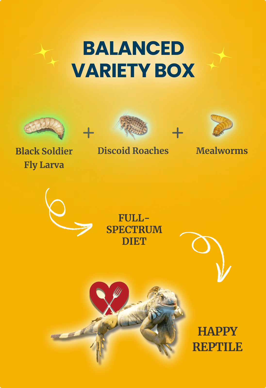 Balanced Variety Box - All Angles Creatures