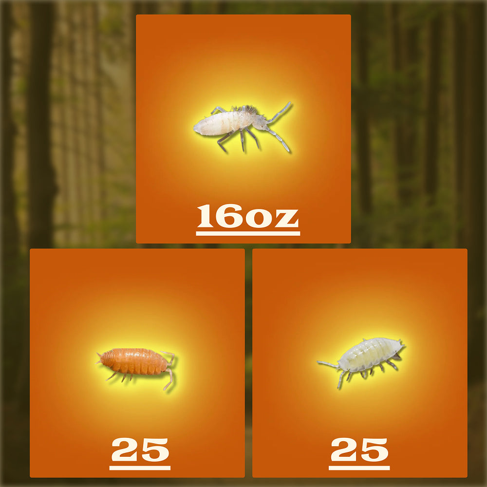 Ultimate Bioactive Colony