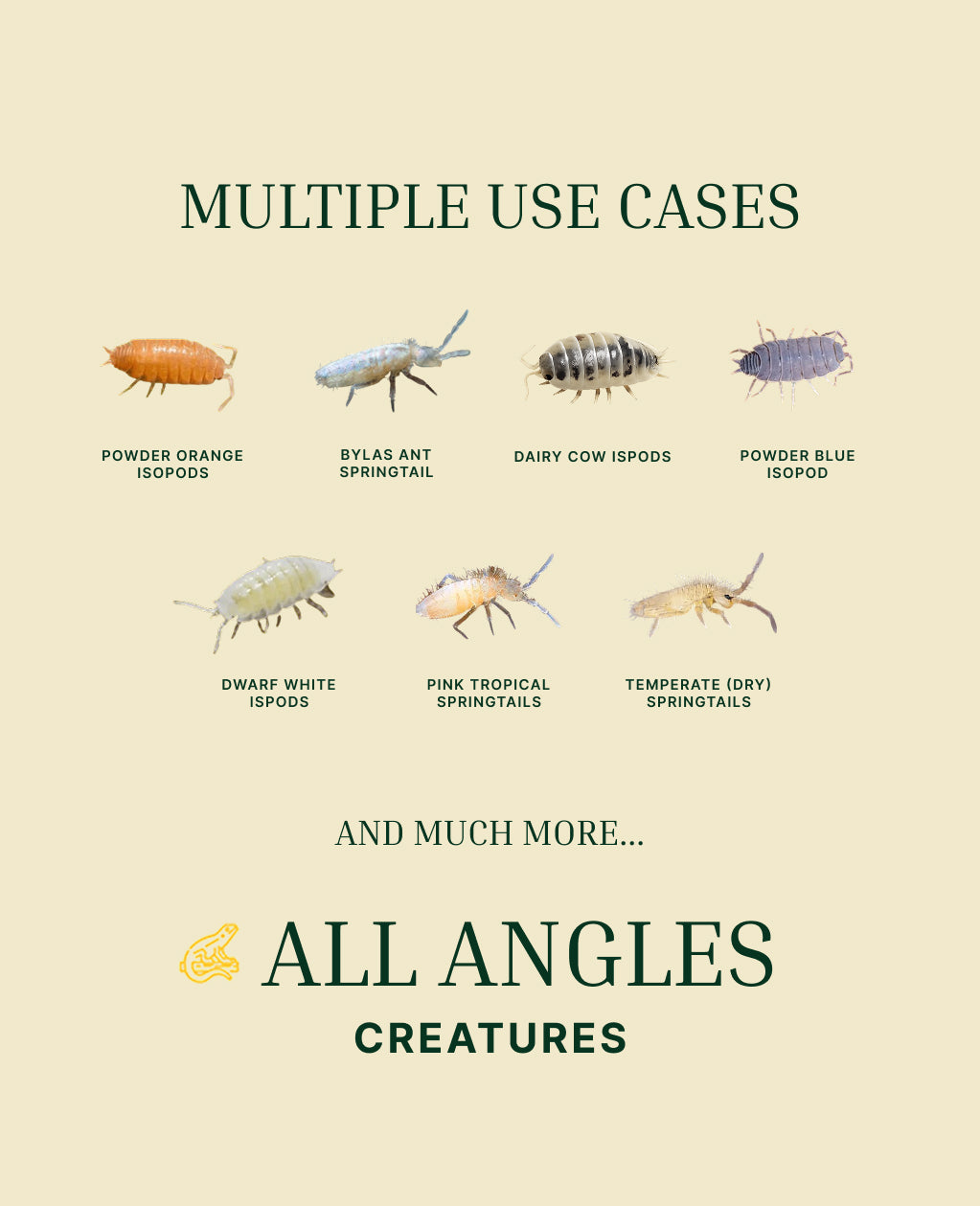 Powder orange isopods, dairy cow isopods, springtails, feeder insects from All Angles Creatures