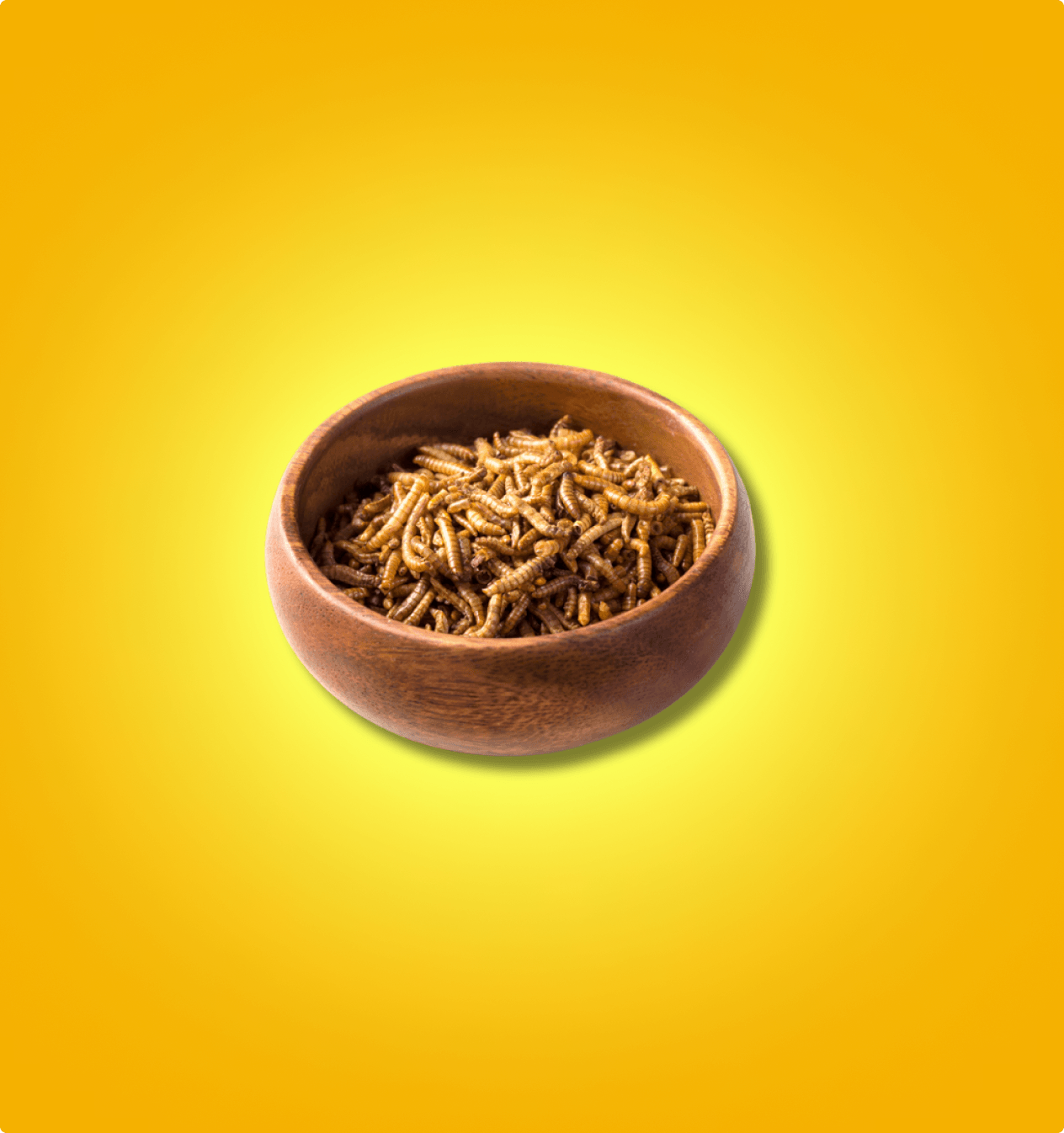 Mealworms