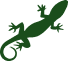 Crested gecko