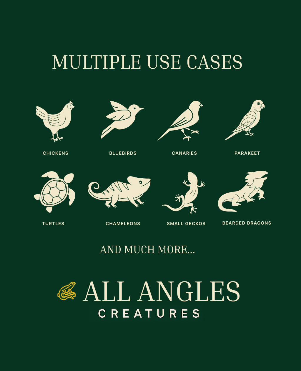Mealworms