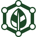 Magnolia Seed Pods (Bioactive Terrarium Botanicals)