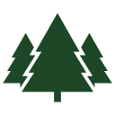 Magnolia Seed Pods (Bioactive Terrarium Botanicals)